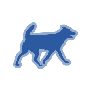 Animais de Companhia